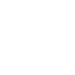 Jorvik Van Conversions