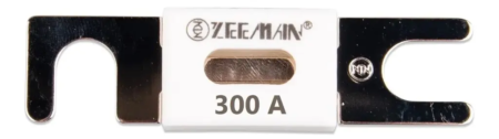 Victron Energy ANL-fuse 300A/80V - CIP143300020